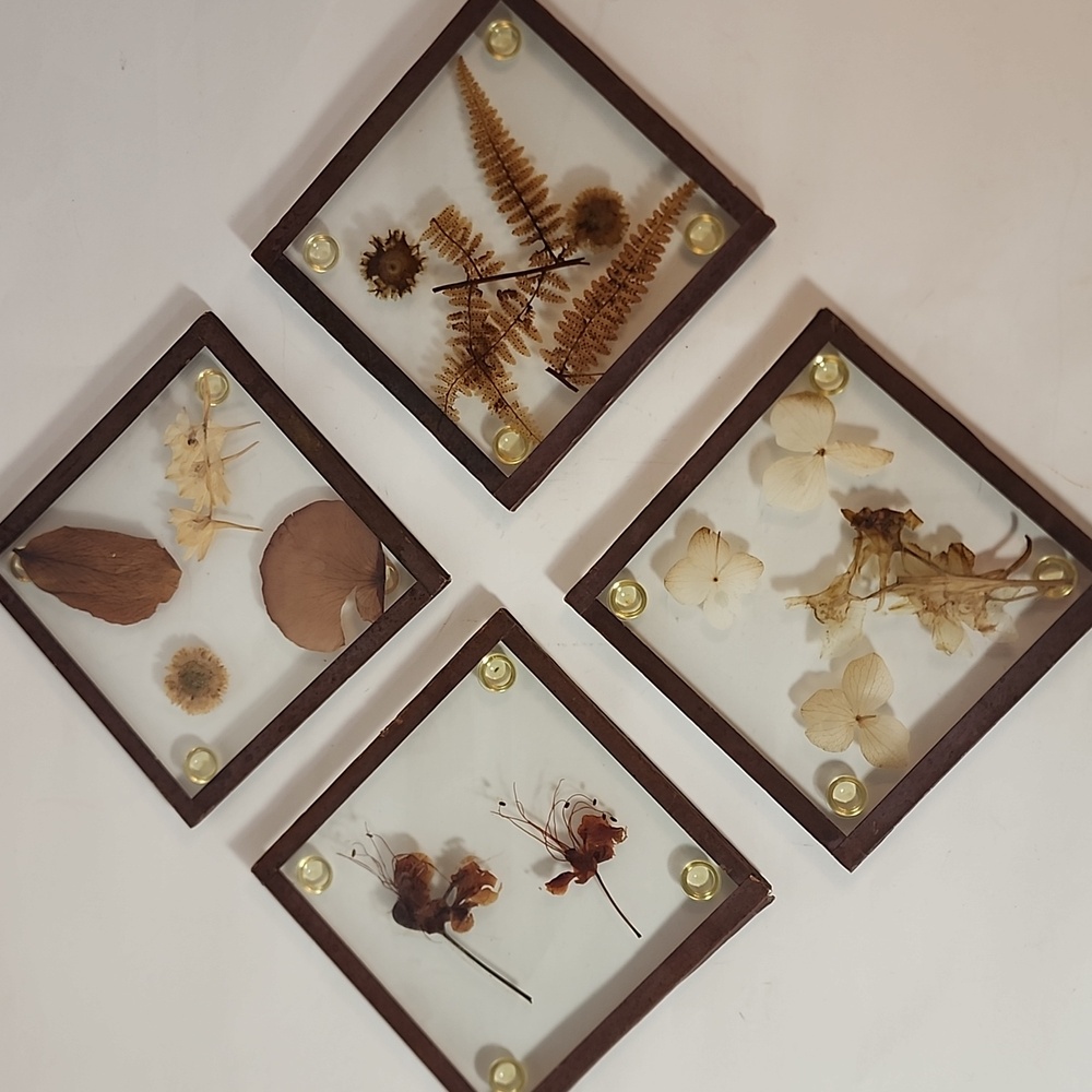 Vintage Coasters Glass Frames Pressed Dried Flowers 4 Pieces 4 1/2 by 4 1/2 in